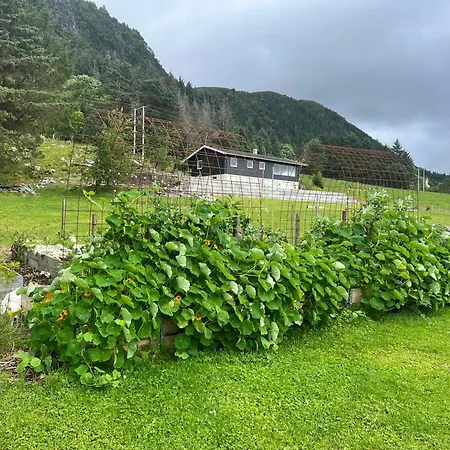 Fin Med Fjord Utsikt *
